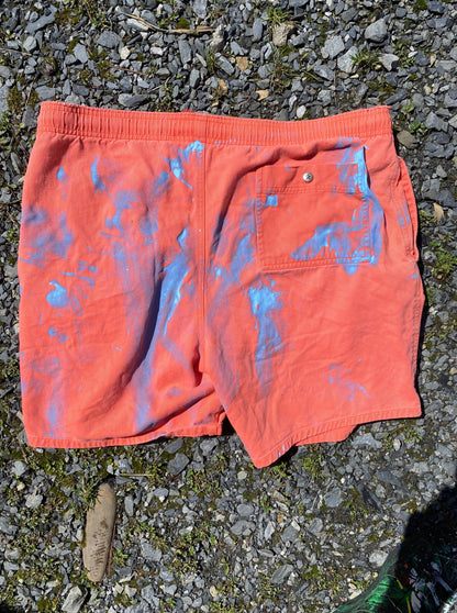 Deme Original Painted Shorts